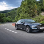 Promotional artwork for the game 'Beast of Reincarnation' by Game Freak