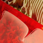 Google DeepMind Signals AI Investment Bubble Risk for Enterprises - featured image