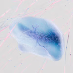 AGI Research Advances Through DeepMind's Consciousness Studies - featured image