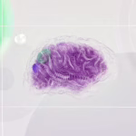 Google DeepMind Hires Philosopher for AI Agent Consciousness Research - featured image