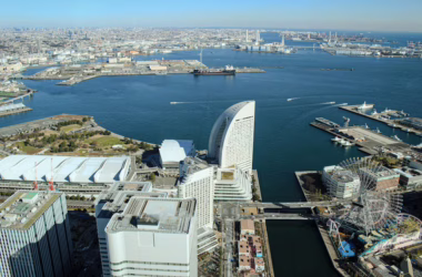 Mirai Botnet Exploits DVR Flaw While Zero-Days Hit Microsoft - featured image