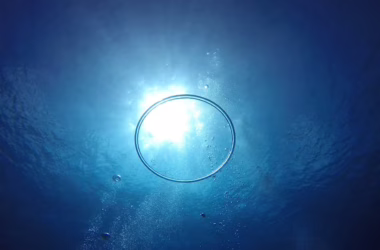 Circle Jumps 16% as Clarity Act Preserves Stablecoin Rewards - featured image